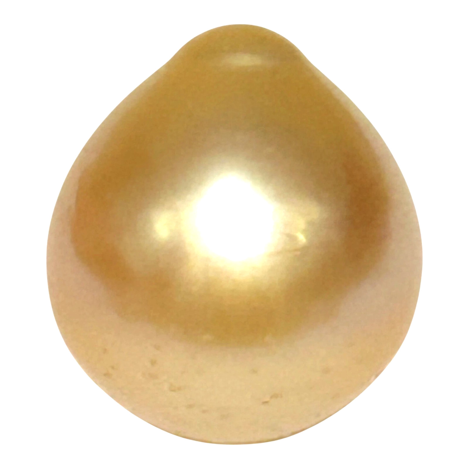 Smooth 13.8 x 15.4mm 19.5 Carat Natural Rich Golden Philippines South Sea Pearl
