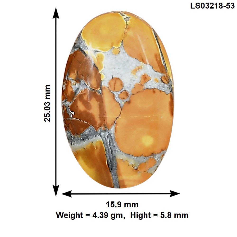 Natural Maligano Jasper 25.03×15.9×5.8 mm Oval Polished Gemstone LS03218-53