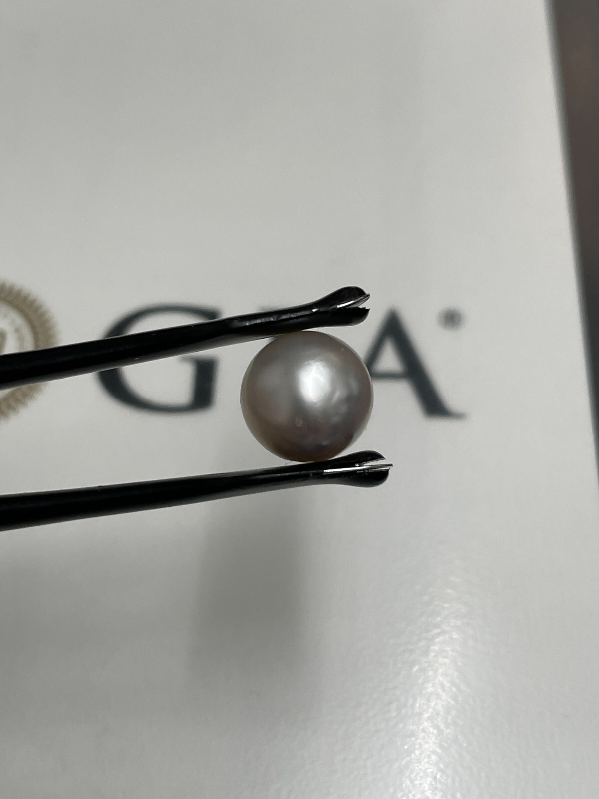 6.53 ct GIA Certified 9.80 mm Cultured Saltwater Pearl Pinctada Species. LP9