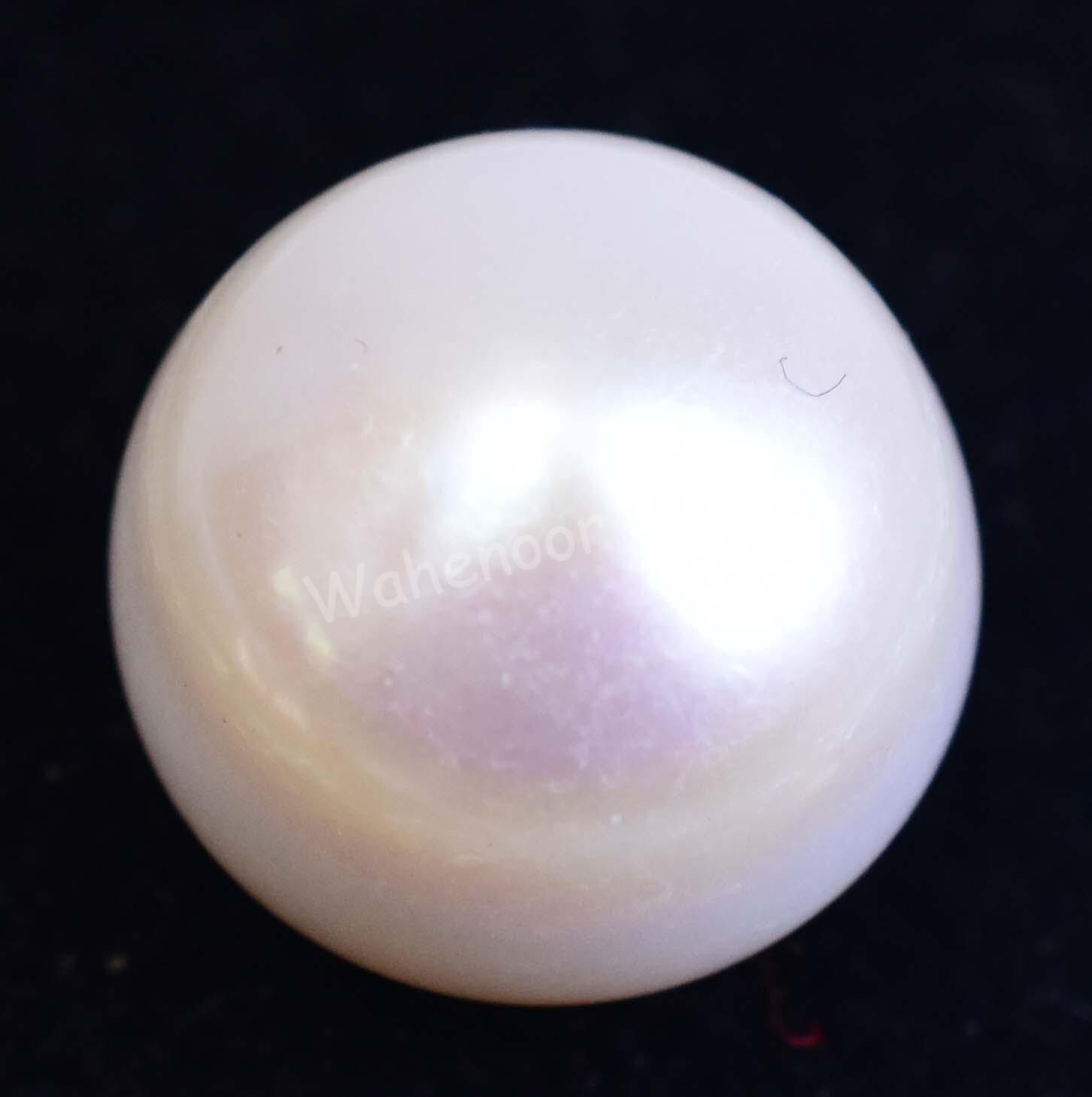 14.30 Ct Natural Australian South Sea White Pearl AGL Certified Untreated Gem