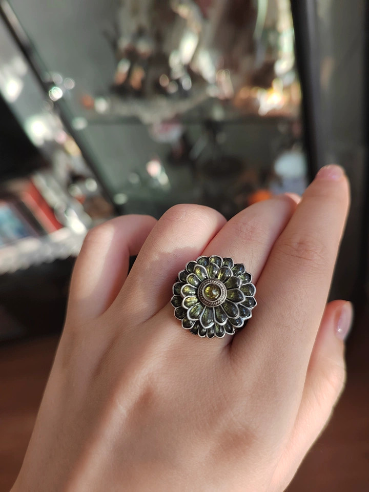 Dark souls Game Ring Cloranthy Ring Video Game Cosplay Adjustable Size