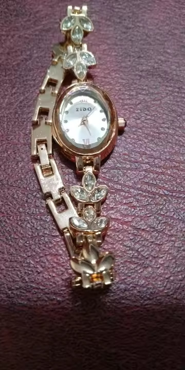 Women’s Watches Light Luxury Diamond Inlaid Female Watch Waterproof Oval Ladies