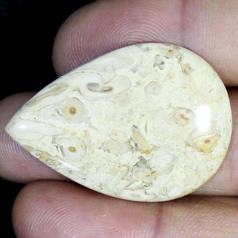 46.90 CT Natural Petrified Wood Agate PEAR Cabochon , Petrified stone 30x42x5 mm