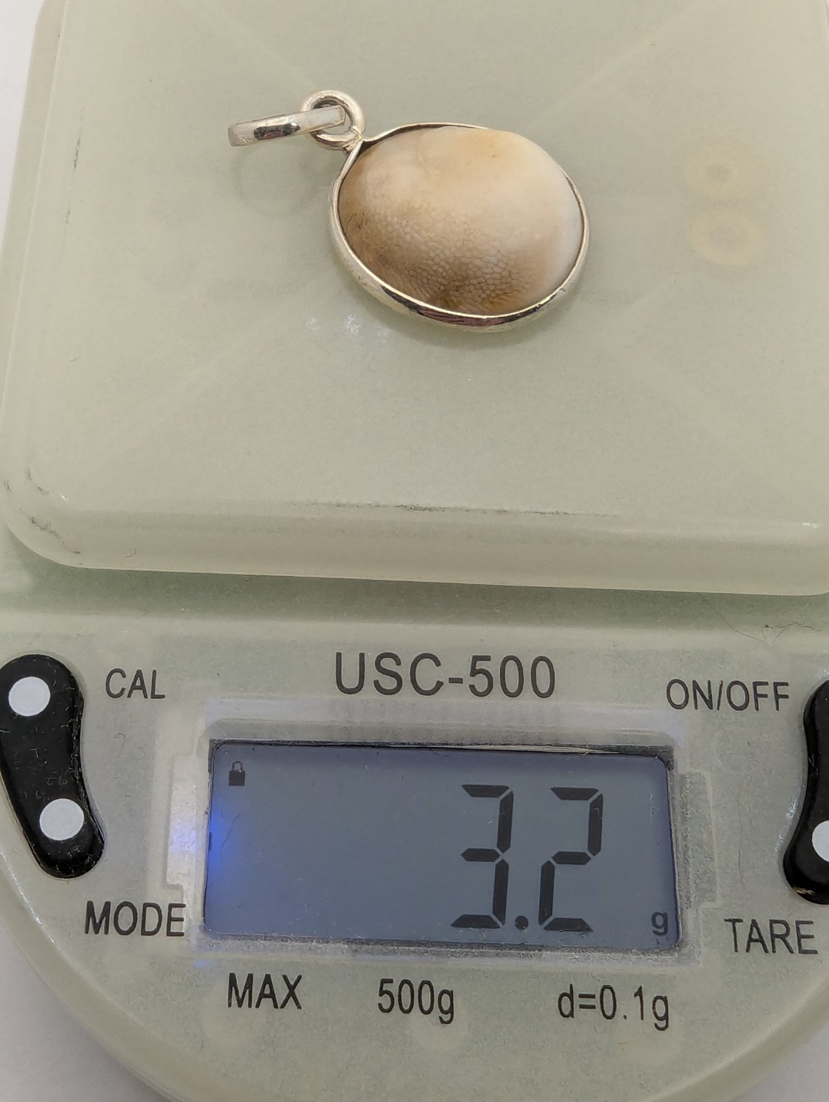 925 STERLING SILVER PENDANT With SHIVA EYE SHELL Natural Spiral Design 3.2 Grams