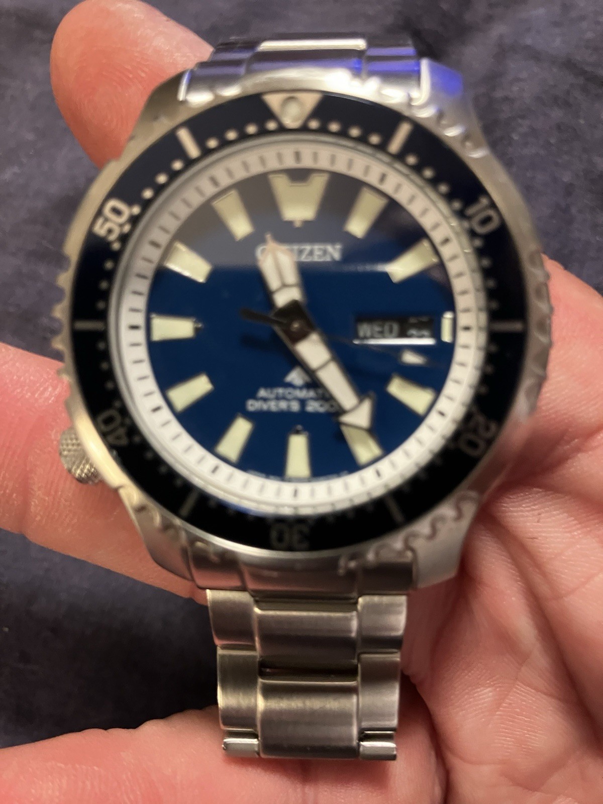 CITIZEN PROMASTER Fugu Pufferfish Diver’s 200m Automatic NY0161-63L Limited Ed