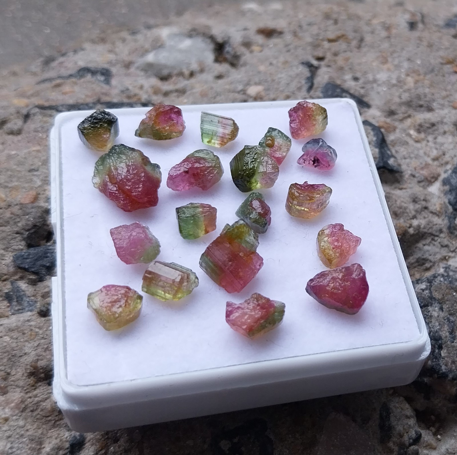 25.5 Ct 4 to 9 MM Natural Watermelon Bi-Color Tourmaline Raw Rough 19 Piece Lot
