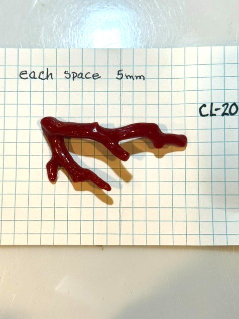 Vintage Style Coral Red Branch 5.59 grams Not dyed, authentic, drilled, CL20