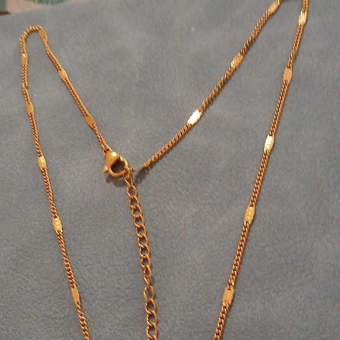 Gold Over Stainles Steel Butterfly Necklace Curb Link Chain Lobster Final Sale!