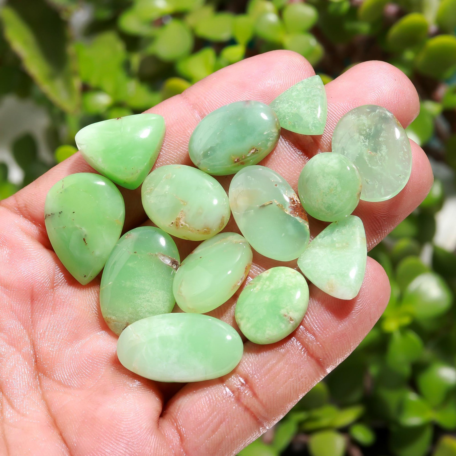 25 Pcs 245 Cts Natural Chrysoprase Cabochon Gemstone Lot 14×21-11×11 mm #R-12334