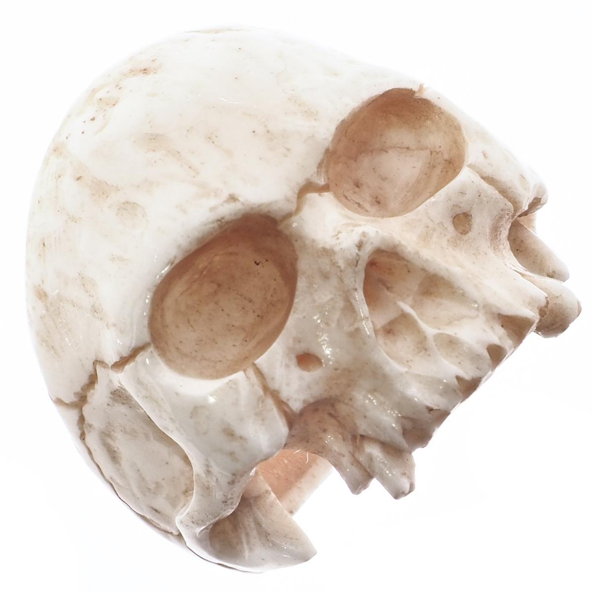 1″ Mens Biker Jawless Skull Hand Carving Antique Stained Bison Bone Ring