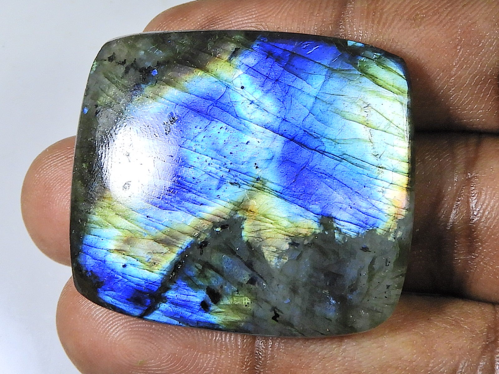 101Cts.Natural Labradorite Multi Rectangular Cabochon Loose Gemstone 34X39MM