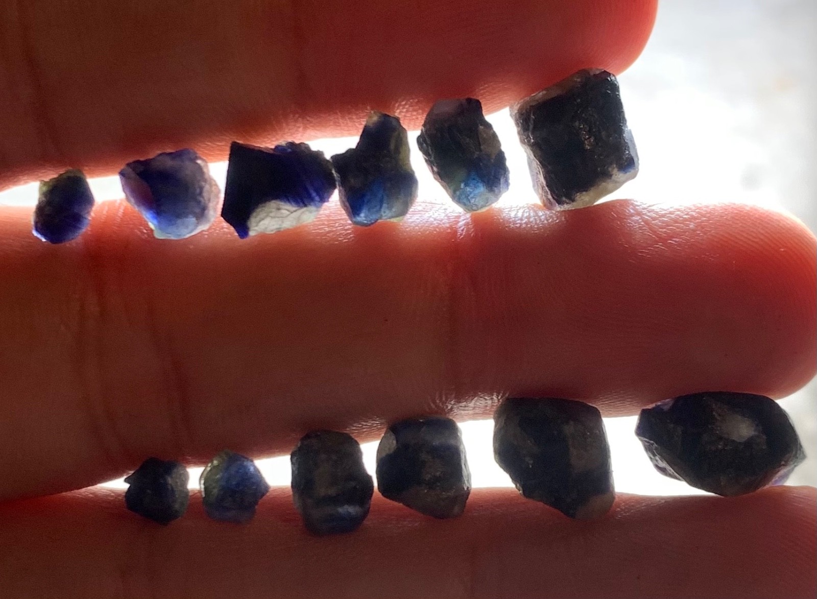 39 Carat Afghanistan Natural Royal Blue Sapphire Rough Lot | 12 Pieces Raw Uncut