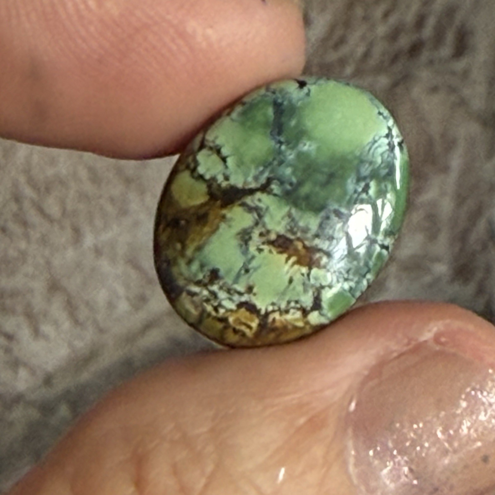 14.10ct 18.7c14.7×6.5mm Green Qingu Mine Turquoise Oval Cabochon Backed Stone