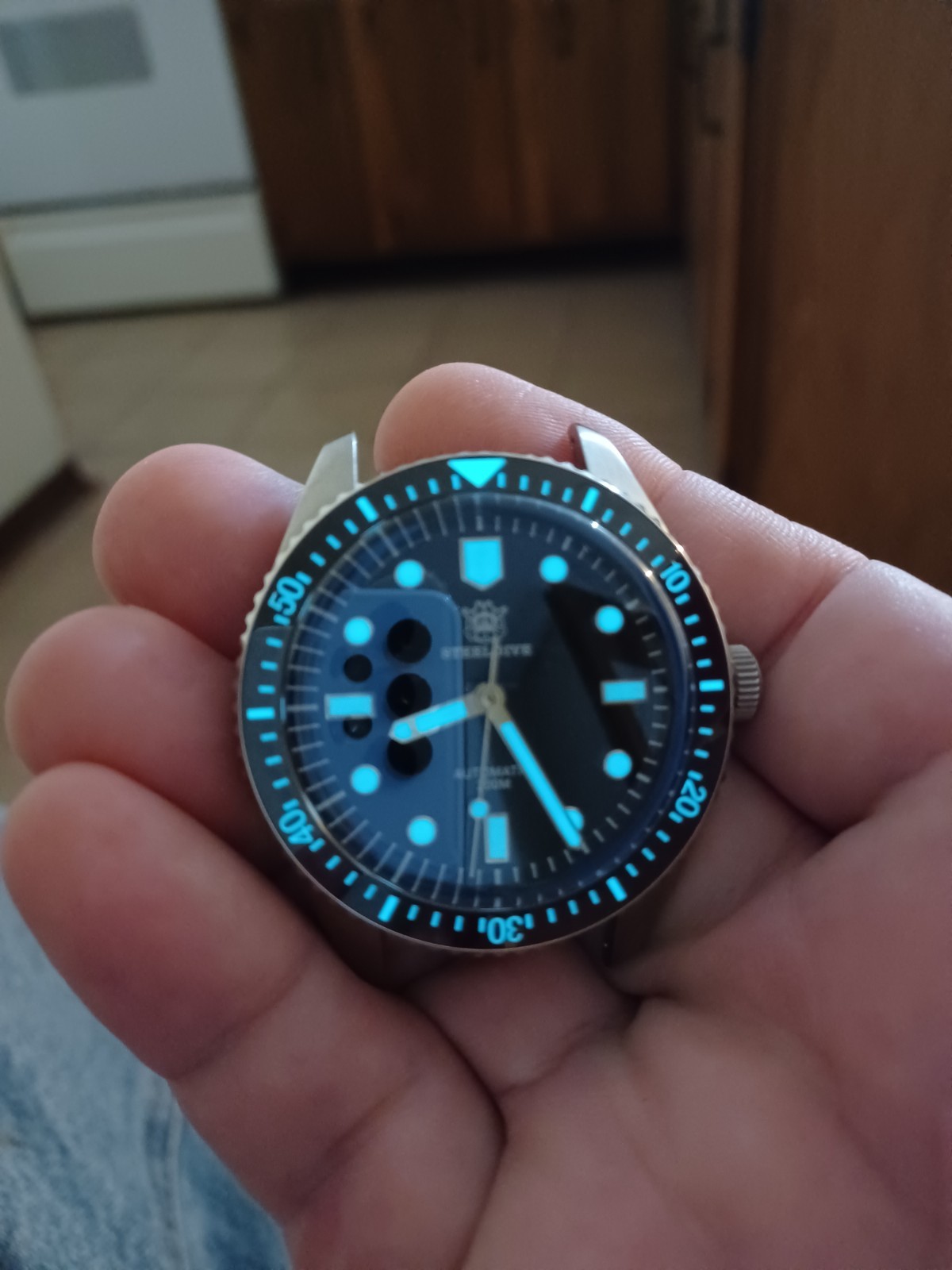Steeldive dive watch