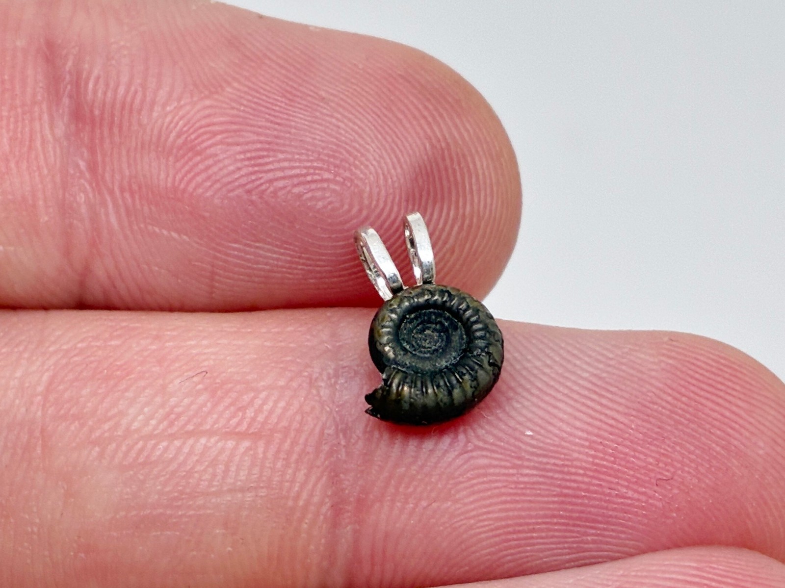 Sterling Silver Genuine Miniature Pyrite Ammonite Jurassic Fossil Pendant
