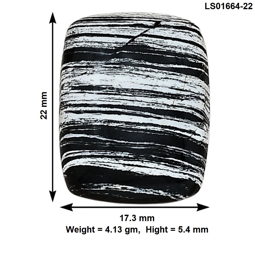 Natural Silver Leaf Obsidian 22×17.3×5.4 mm Baguette Shape Gemstone LS01664-22