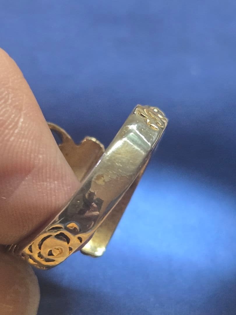 Dragon motif ring comes with a dragon case