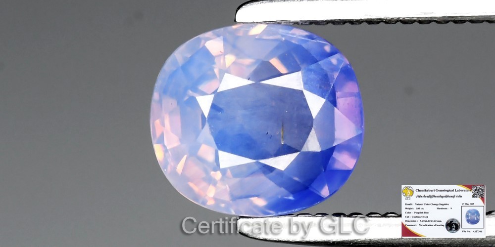 💎 GLC Report 1.00ct Cushion Color Change Sapphire – Unheated, Mozambique Gem