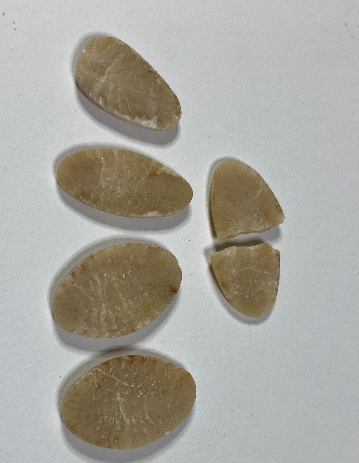 4+ Unlabeled Cabochons approx. 24 X 16 X 3 mm CC-87