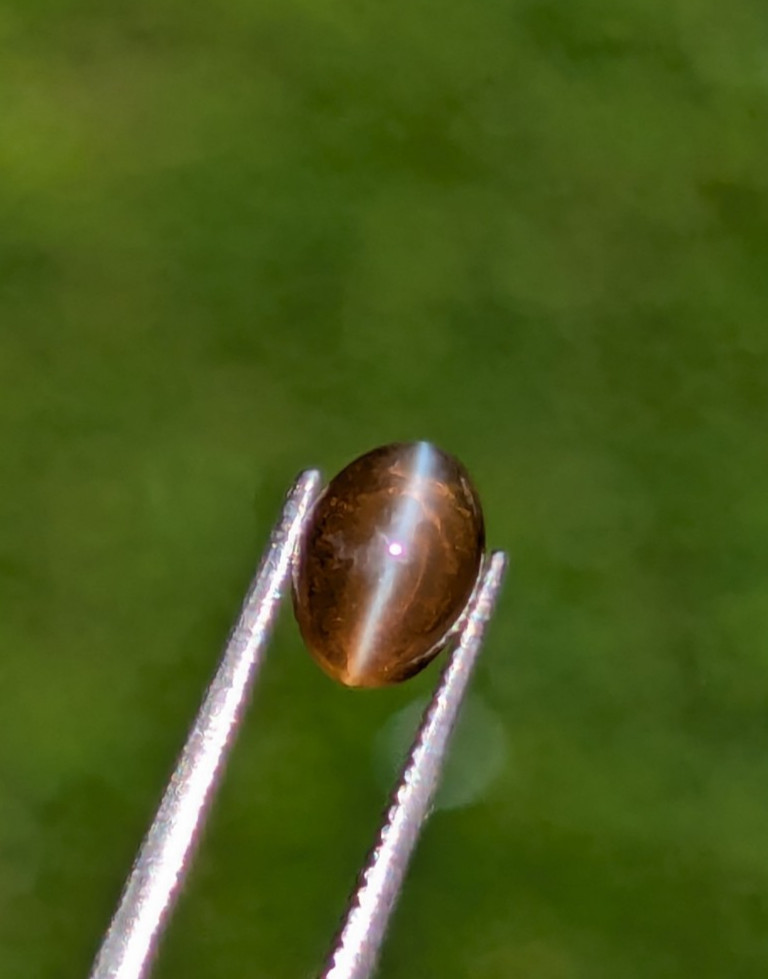 Natural Chrysoberyl Cat’s Eye 1.35ct Honey | Sharp Eye | Glass Body Ceylon