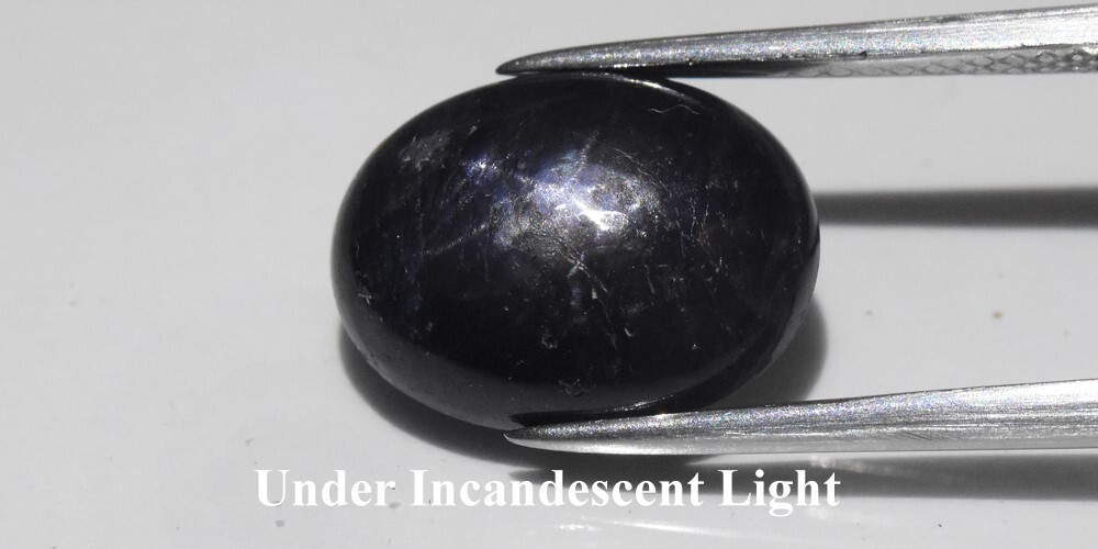💎 7.31ct 13x10mm Oval Deep Blue 6 Ray Star Sapphire – Unheated, Myanmar Gem