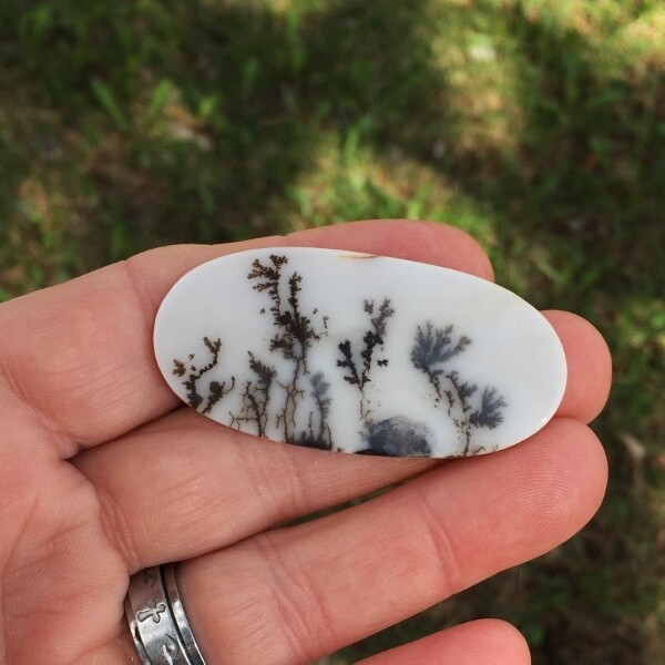 All Natural! Fine Quality Dendritic Agate India GLI