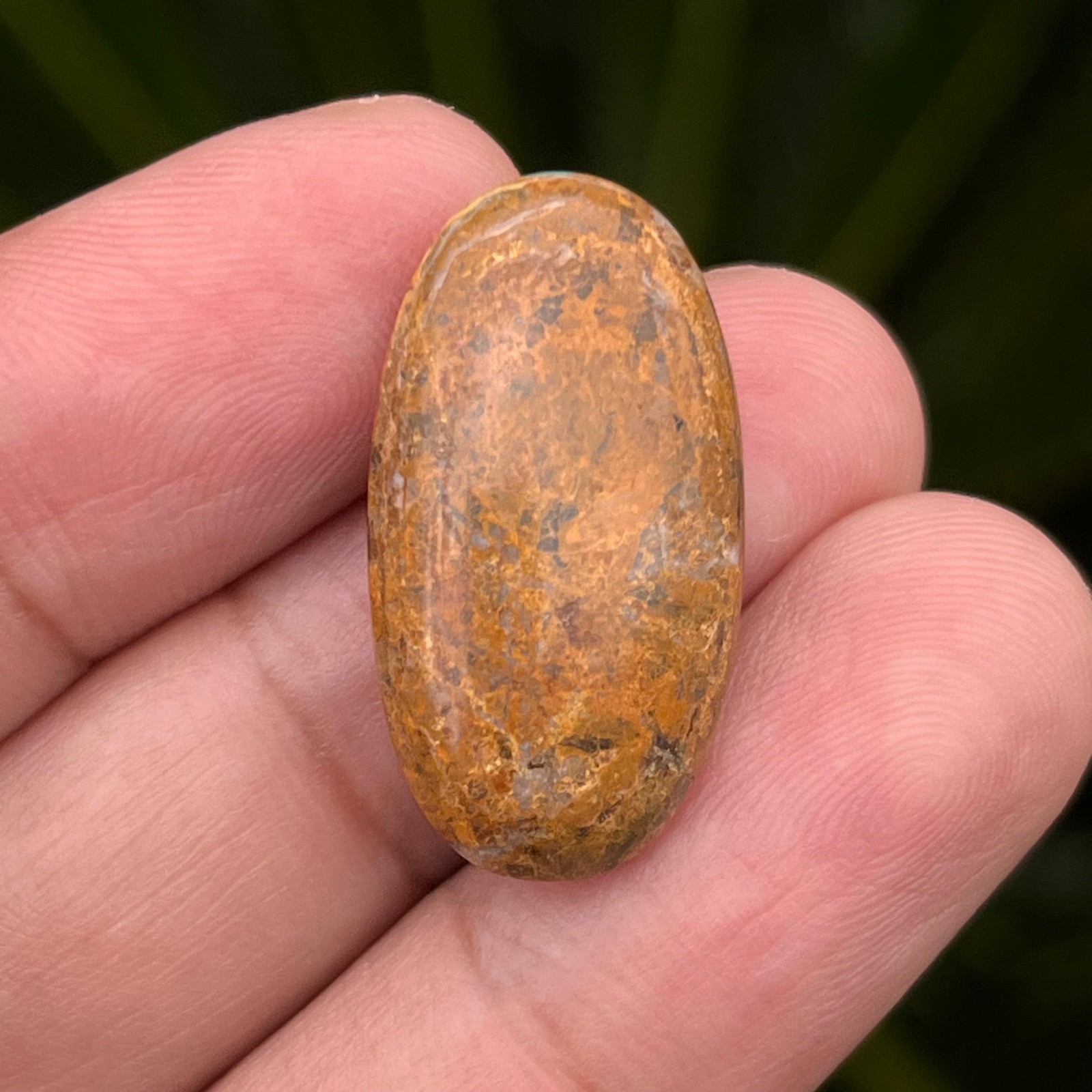 16.55 Cts Top Grade Persian Turquoise Rare Color Gold Vein Loose Stone 26x14x7