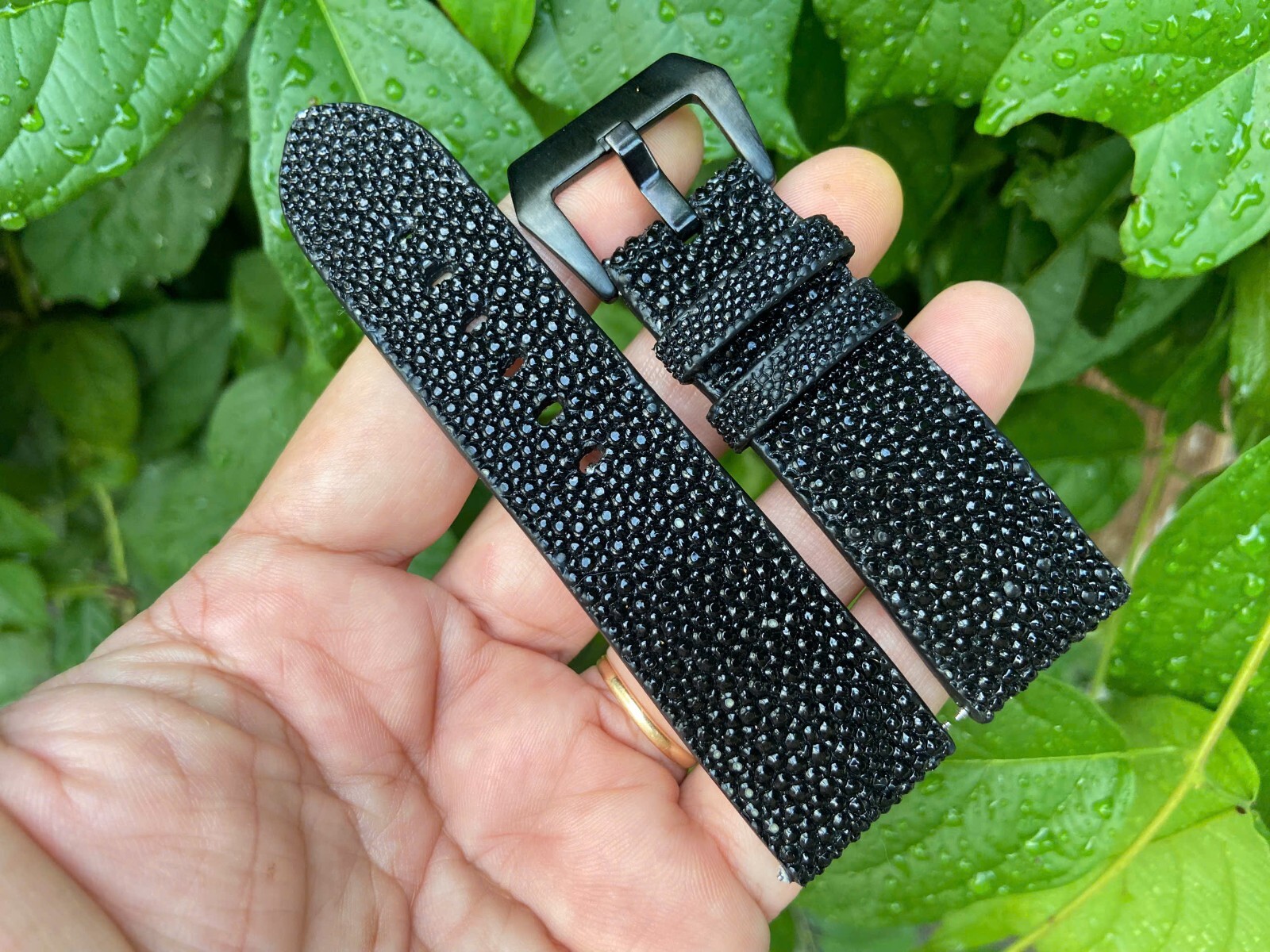 Black Stingray Leather skin Watch Strap Band 12 14 18 19 20 21 22mm 23 24mm 26mm