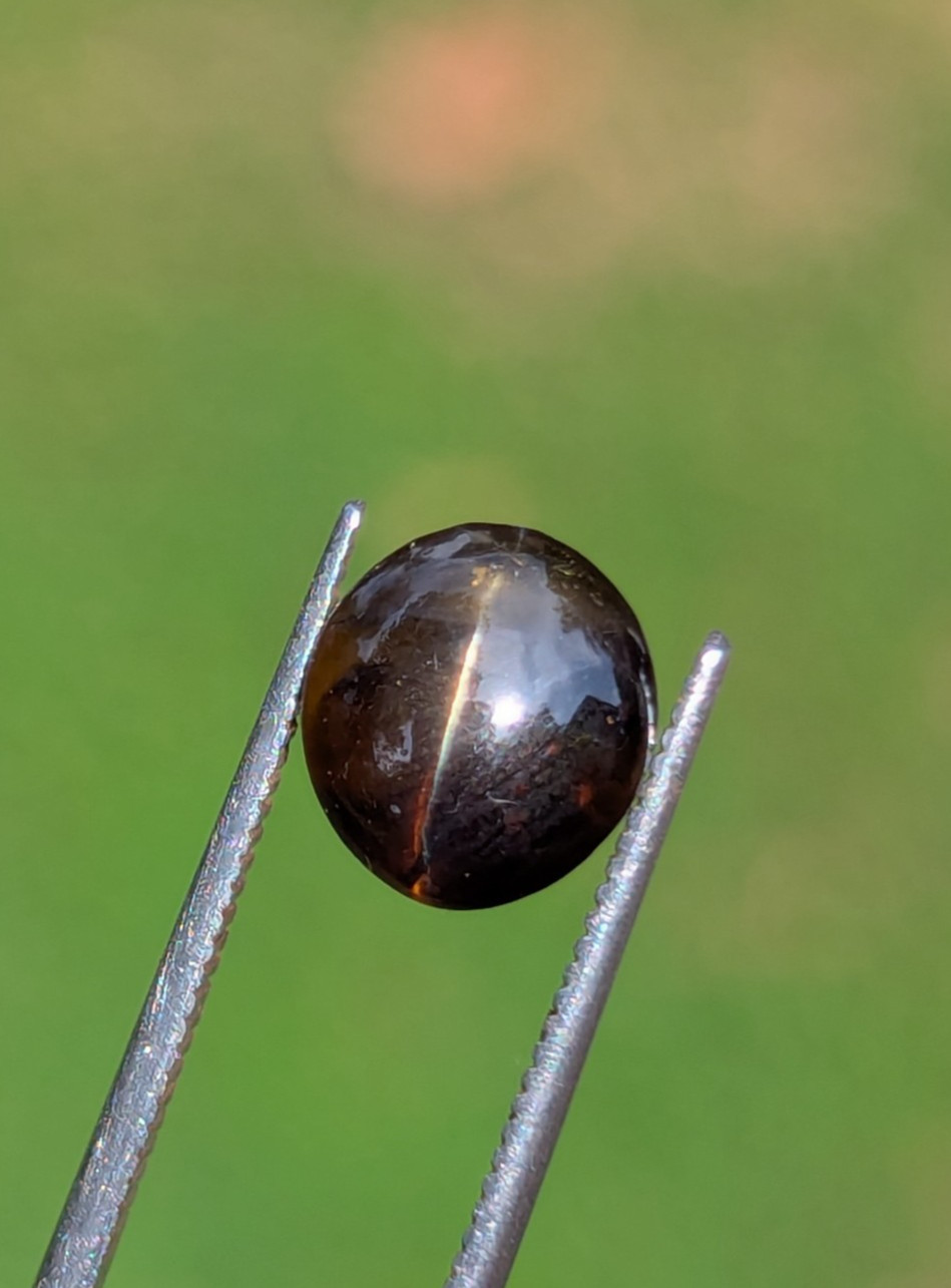 Natural Chrysoberyl Cat’s Eye 3.19ct | CSL Certified | Brown | No Treatment