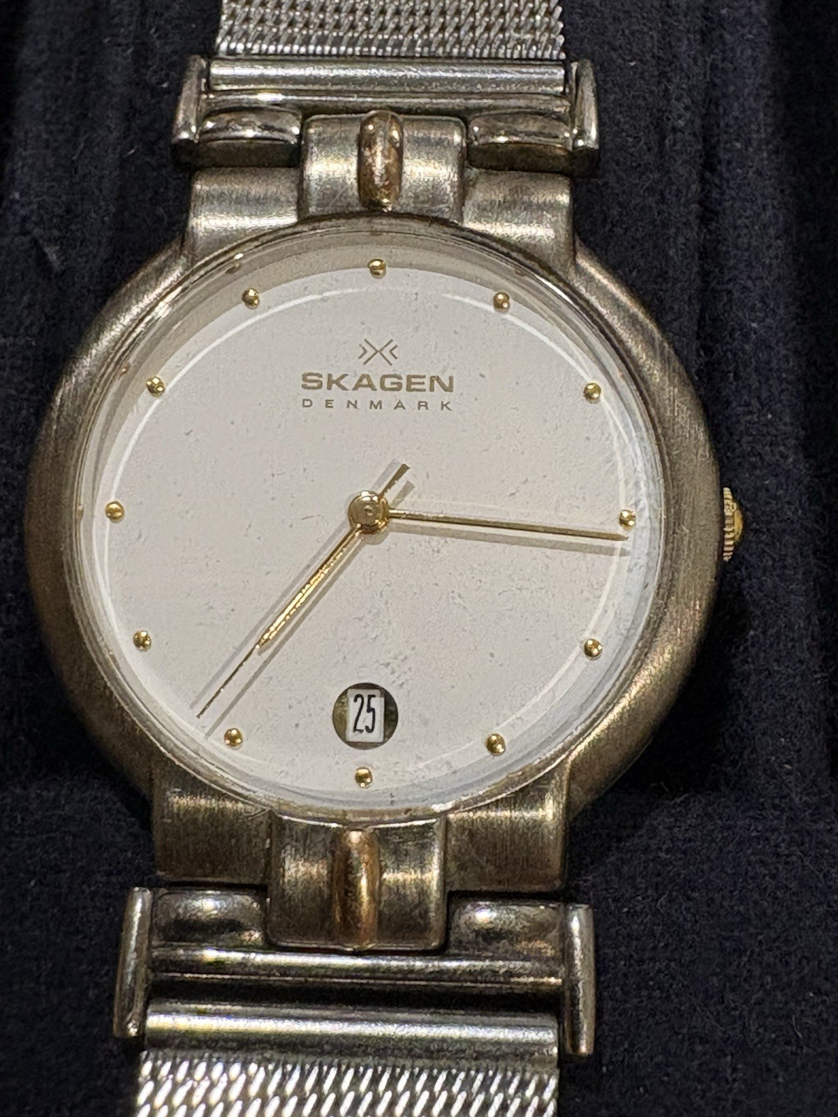 Stainless Steel Skagen Denmark Unisex Watch P38LGS Silver And Gold Tone Date