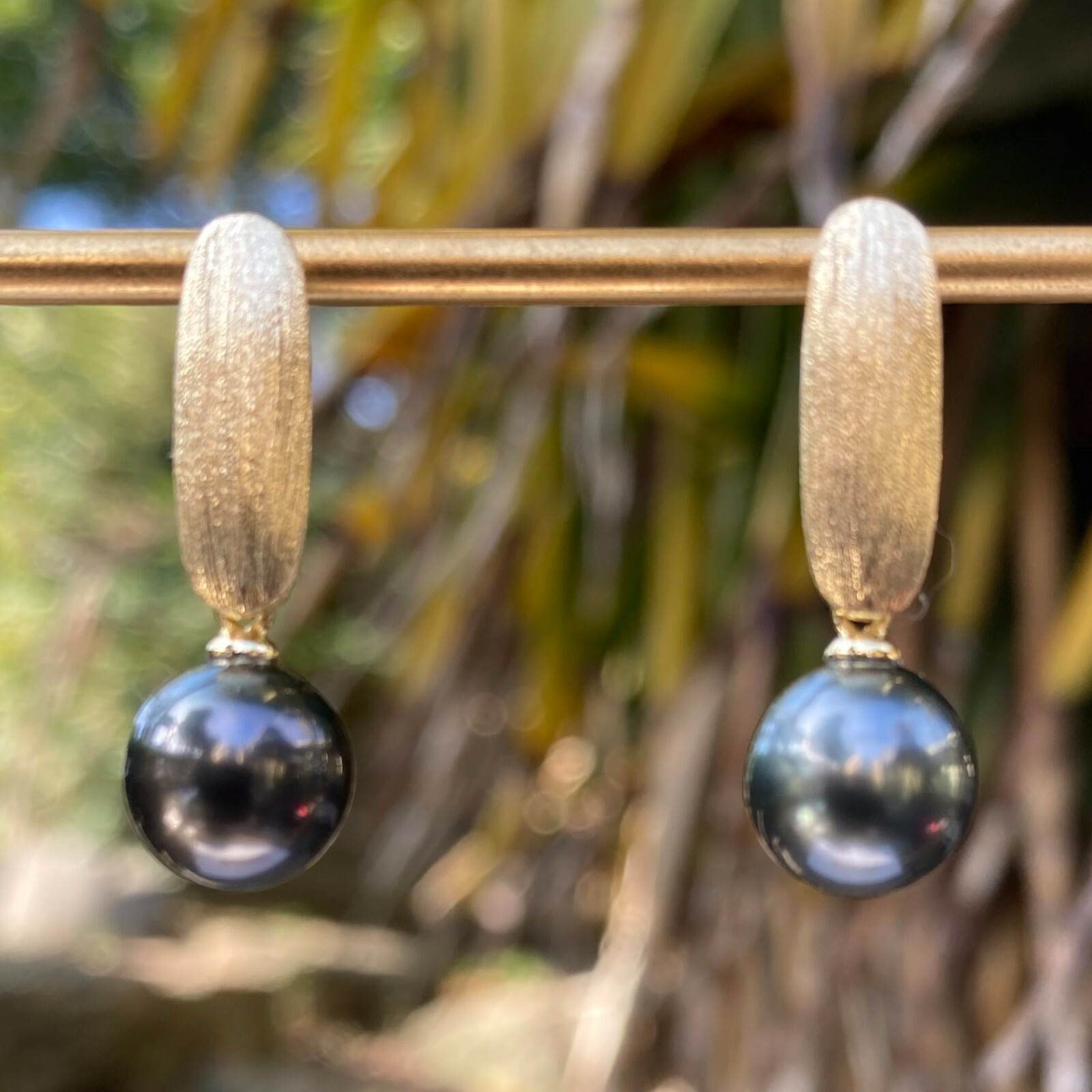 8.5~9mm Black Tahitian Pearl sterling Silver Gold coated 26mm Earring Dangle 184