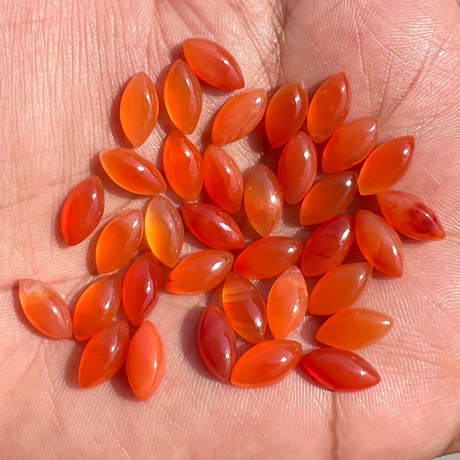 Natural Carnelian Marquise 4×8 mm to 10×20 mm Cabochon Loose Gemstone Lot