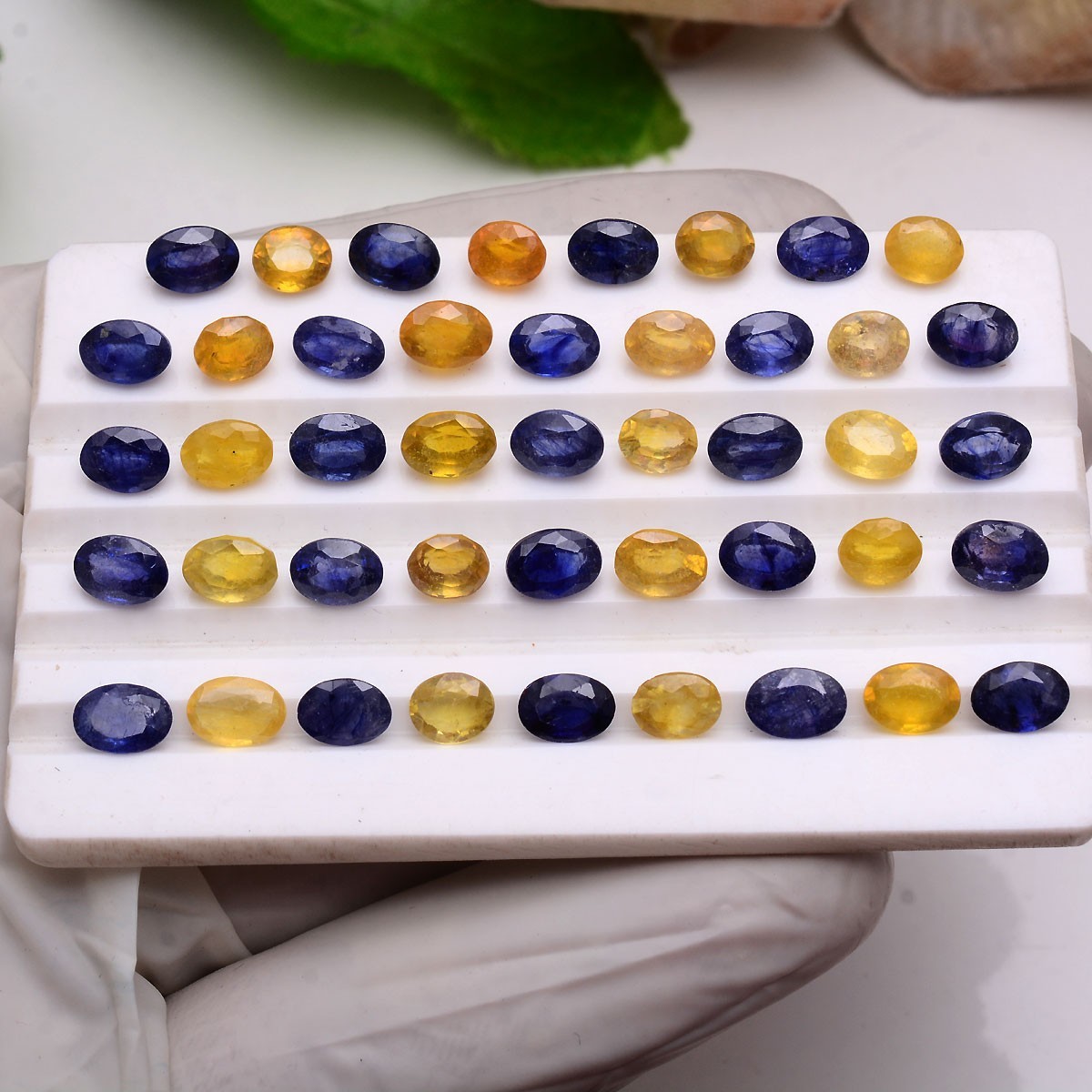 16 Pcs Natural Blue & Yellow Sapphire 6.15mm-7.20mm Hi-Grade Oval Cut Gemstones