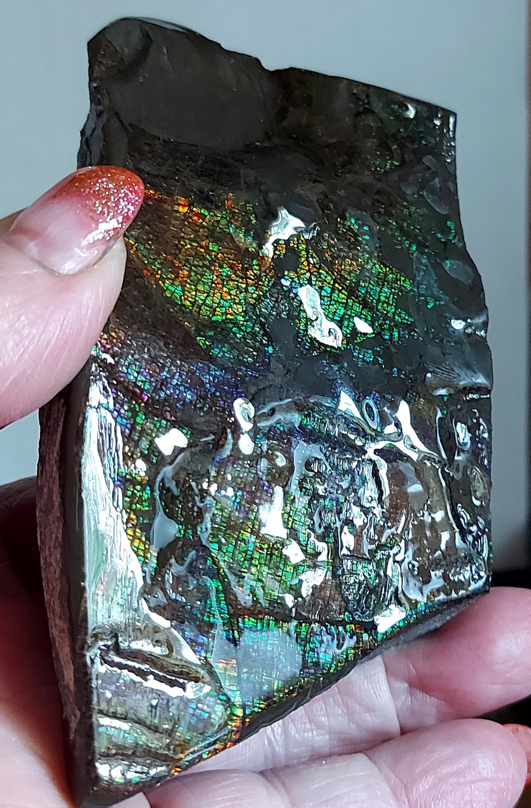 Ammolite Ammonite tabletop Piece Display 104.5x58x23.6mm 5805