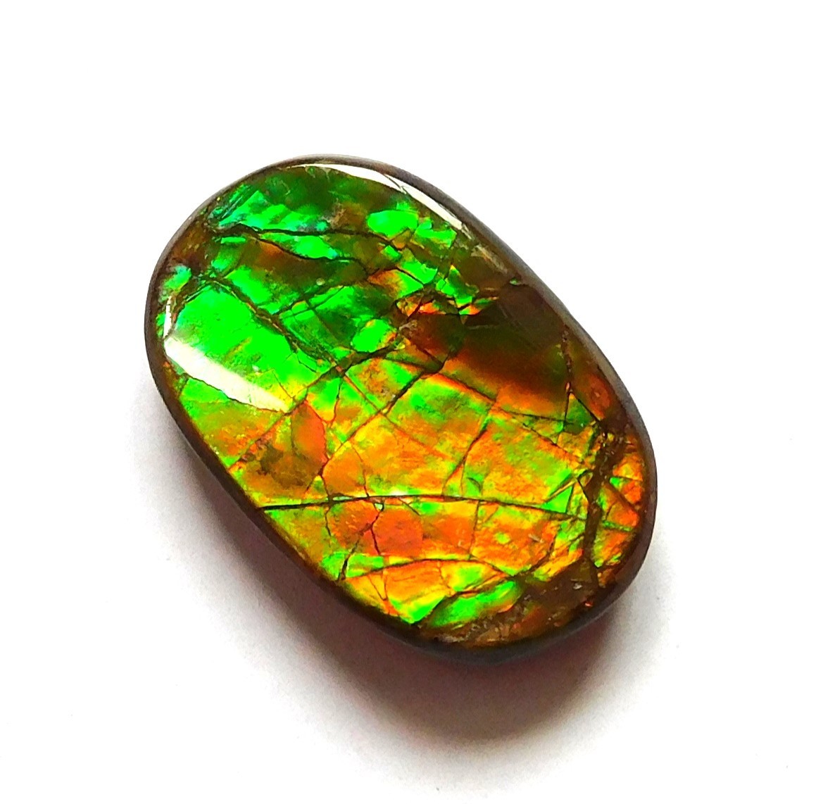 11.70 Ct Natural Canadian Ammolite Cabochon Loose Gemstone 18.4X12X4.4MM JK105