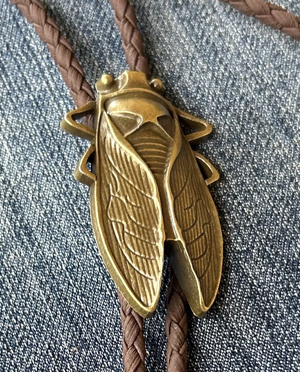 Ancient Transformation Symbol Bronze Cicada/Beetle Bolo Tie FREE FAST SHIPPING