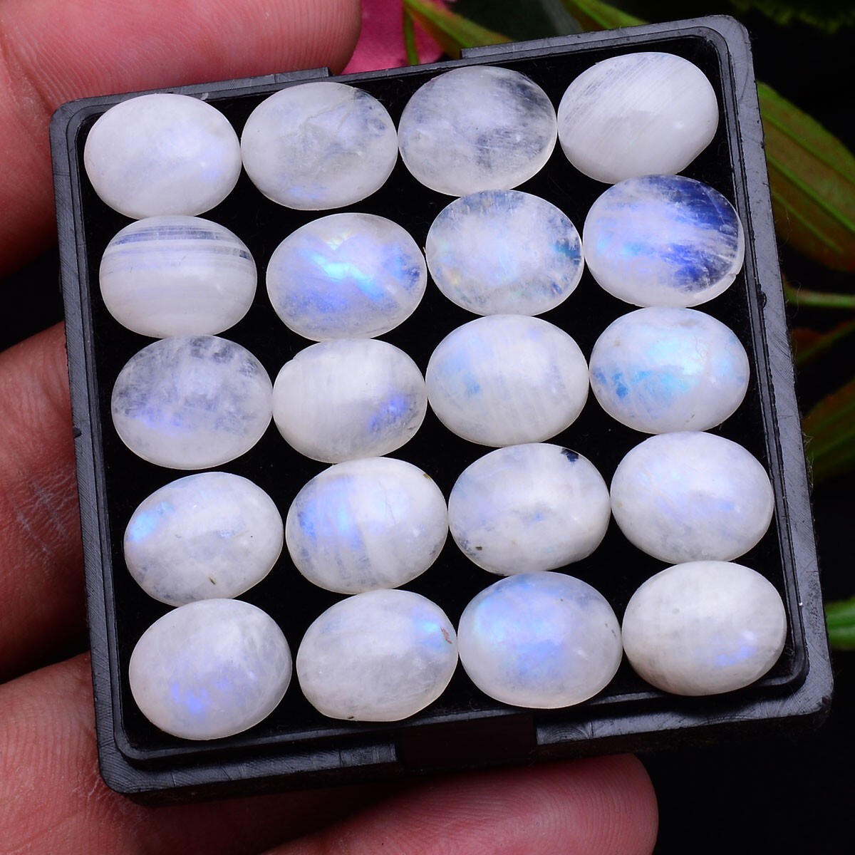 10 Pcs Natural Blue Shine Moonstone 11mm*9mm Oval Cabochon Untreated Gemstones