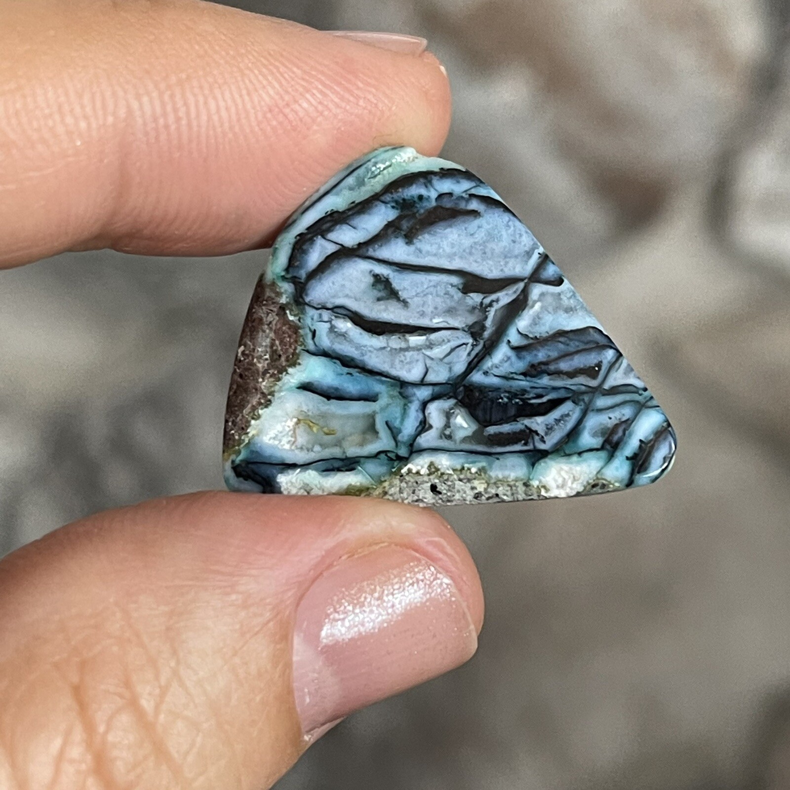 26.5×21.6x5mm Rare Agatized Wood Colorful Chrysocolla Cabochon Picture Stone