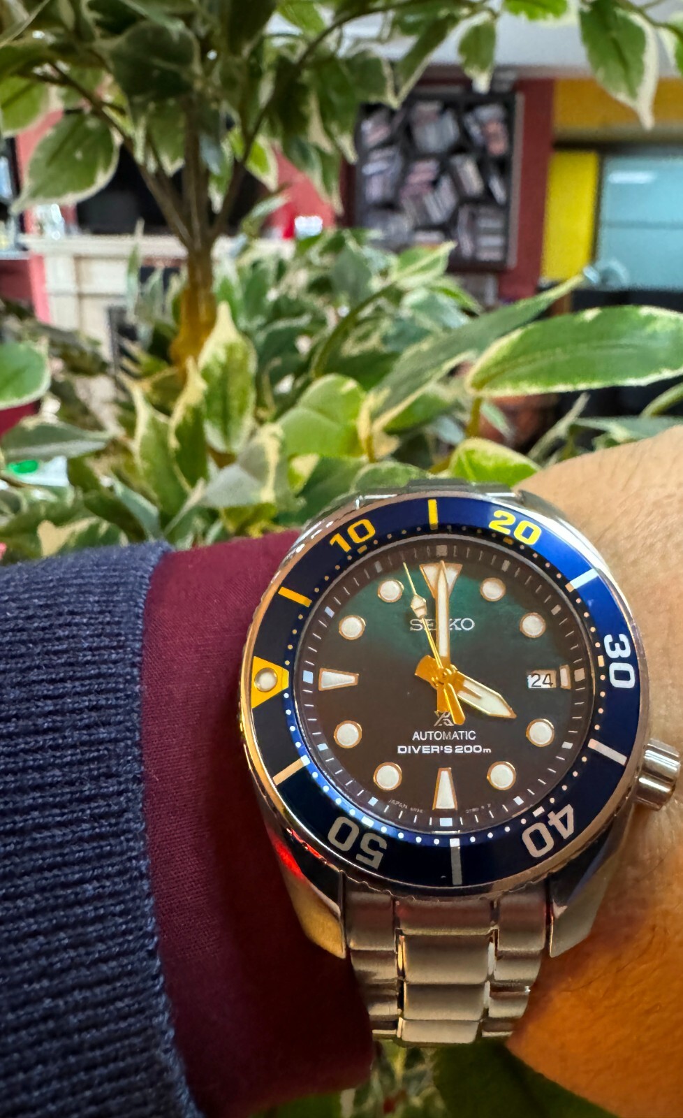 SEIKO SUMO ZIMBE 18 SPB425J 6R35 GREEN BLUE LIMITED EDITION 1500 PIECES FULL SET
