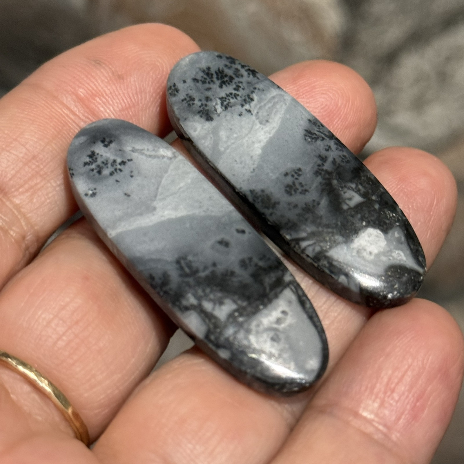 62ct 42x15x4.5mm Pair Fine Gray Scenic Oval Picture Maligano Jasper Cabochons