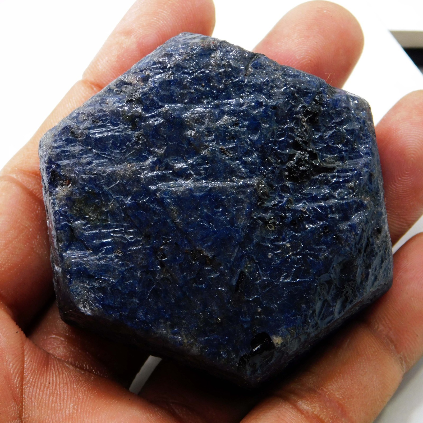 937 Ct Natural Unheated Blue Star Sapphire Specimen Rough Certified Gemstone