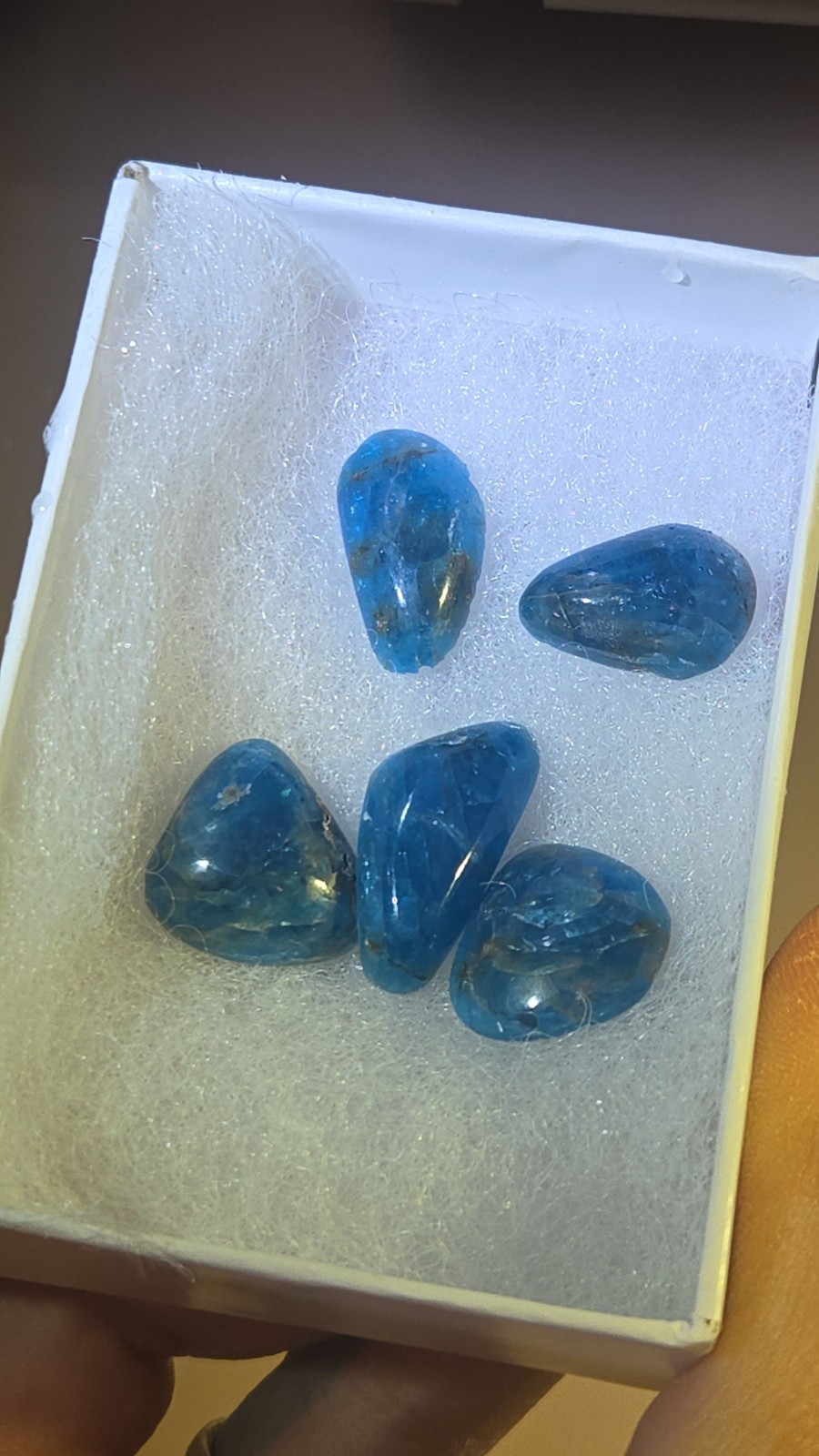 Blue Apatite Cabochon Bundle BOX