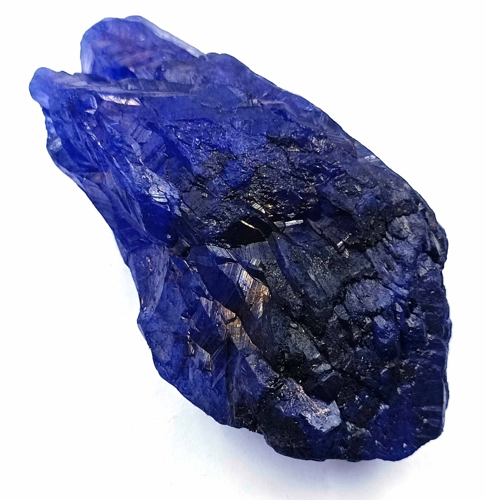 720 Ct Natural Blue Sapphire EGL Certified Uncut Rough Chunk Loose Gemstone 25S