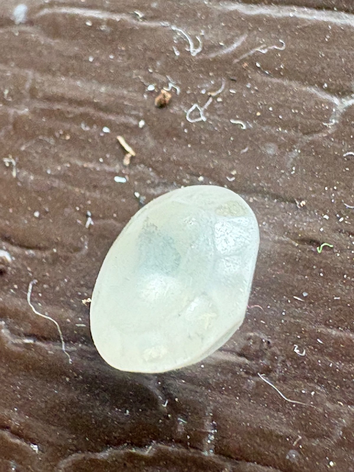 Lab grown Cushion Diamond over 5 Ct E Vs2 Igi Certified