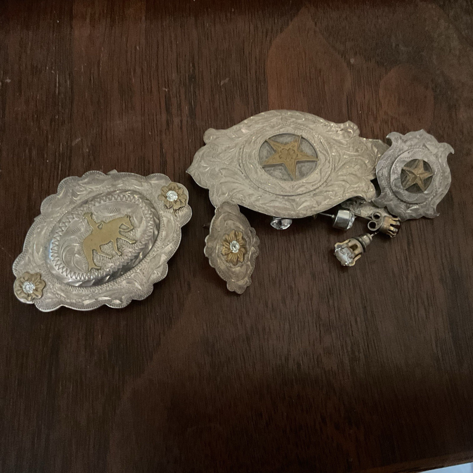 1 Horse And 1 Texas Star Western Pins And Assorted Earings