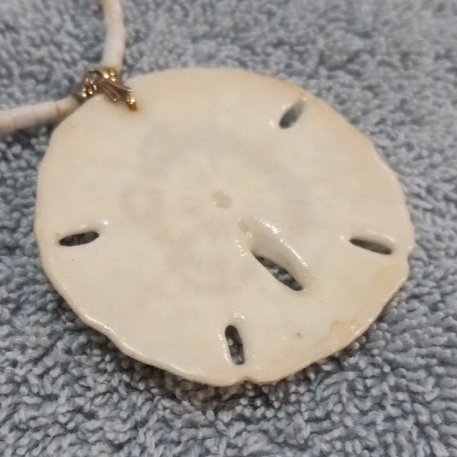 White Shell Sand Dollar Round Pendant Beaded Strand Necklace 16″ Beach Ocean