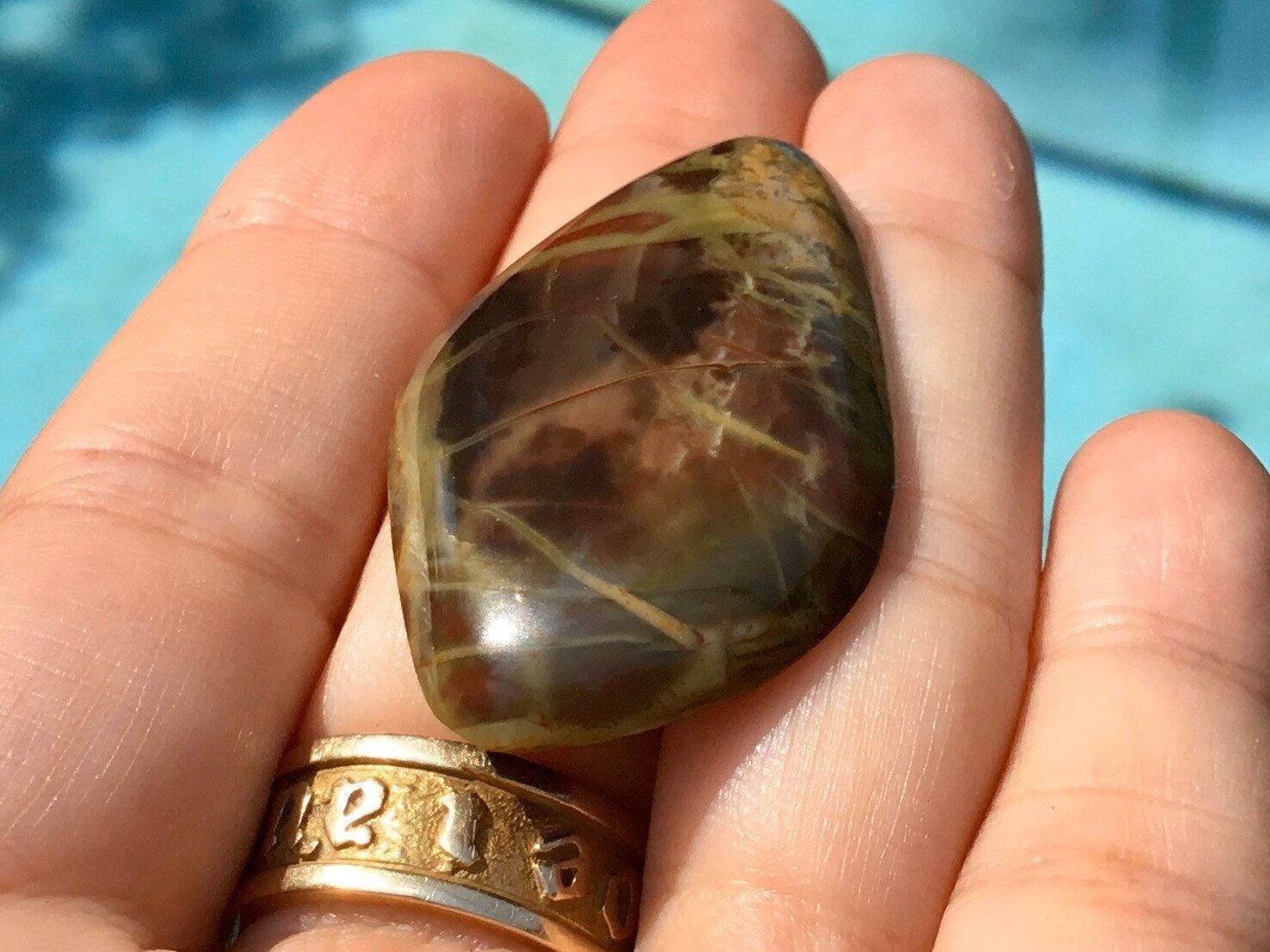 Oregon Morrisonite Jasper Freeform 45x26x5 mm Cabochon Gemstone