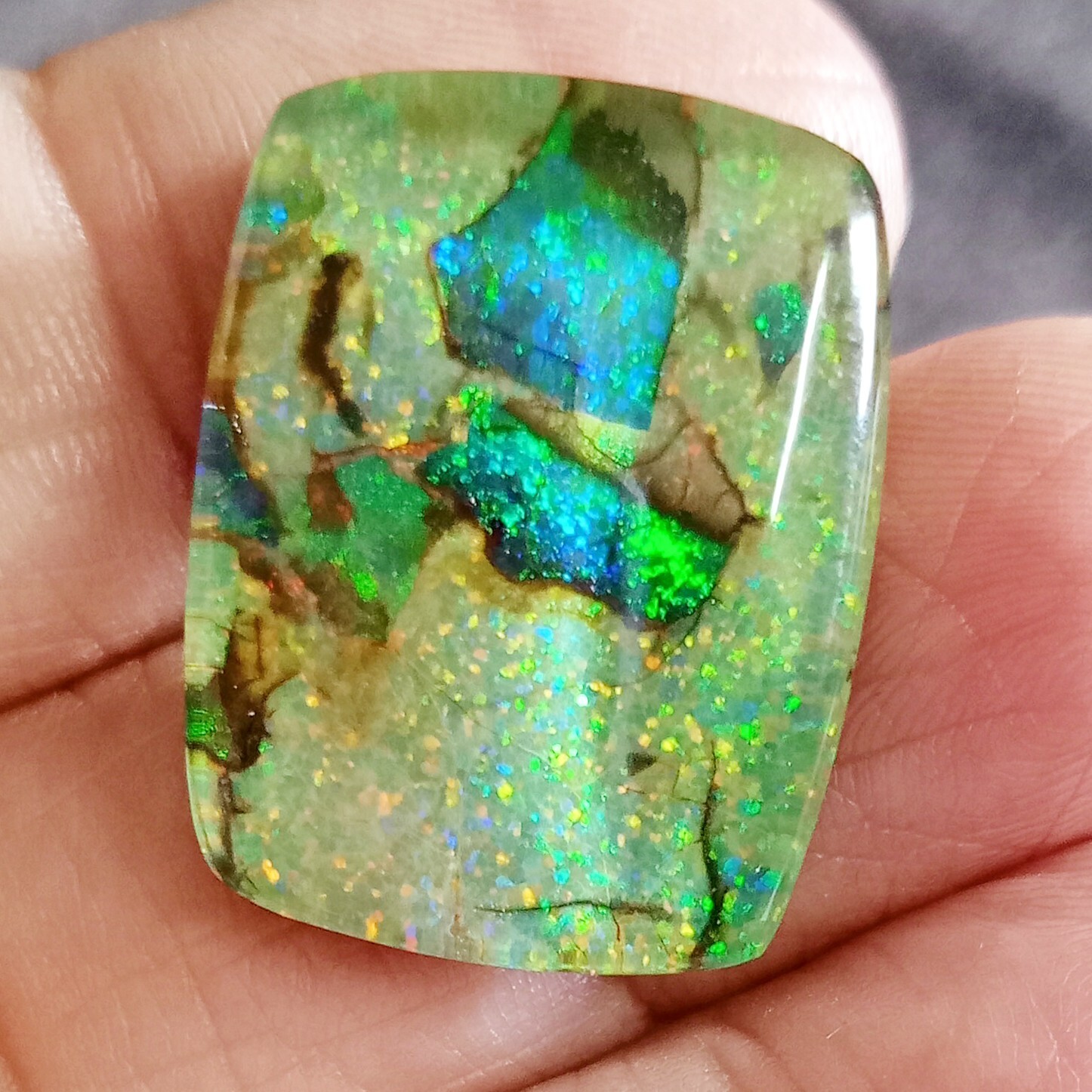 Monarch Opal Cabochon Natural Doublet EGL Certified 20-22 Ct Gemstone JM211