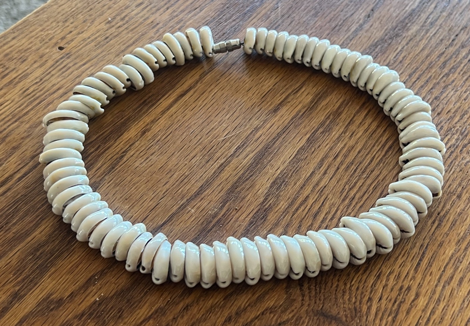Vintage Shell Necklace 1970s Sliced Cowrie Shell Choker Collar