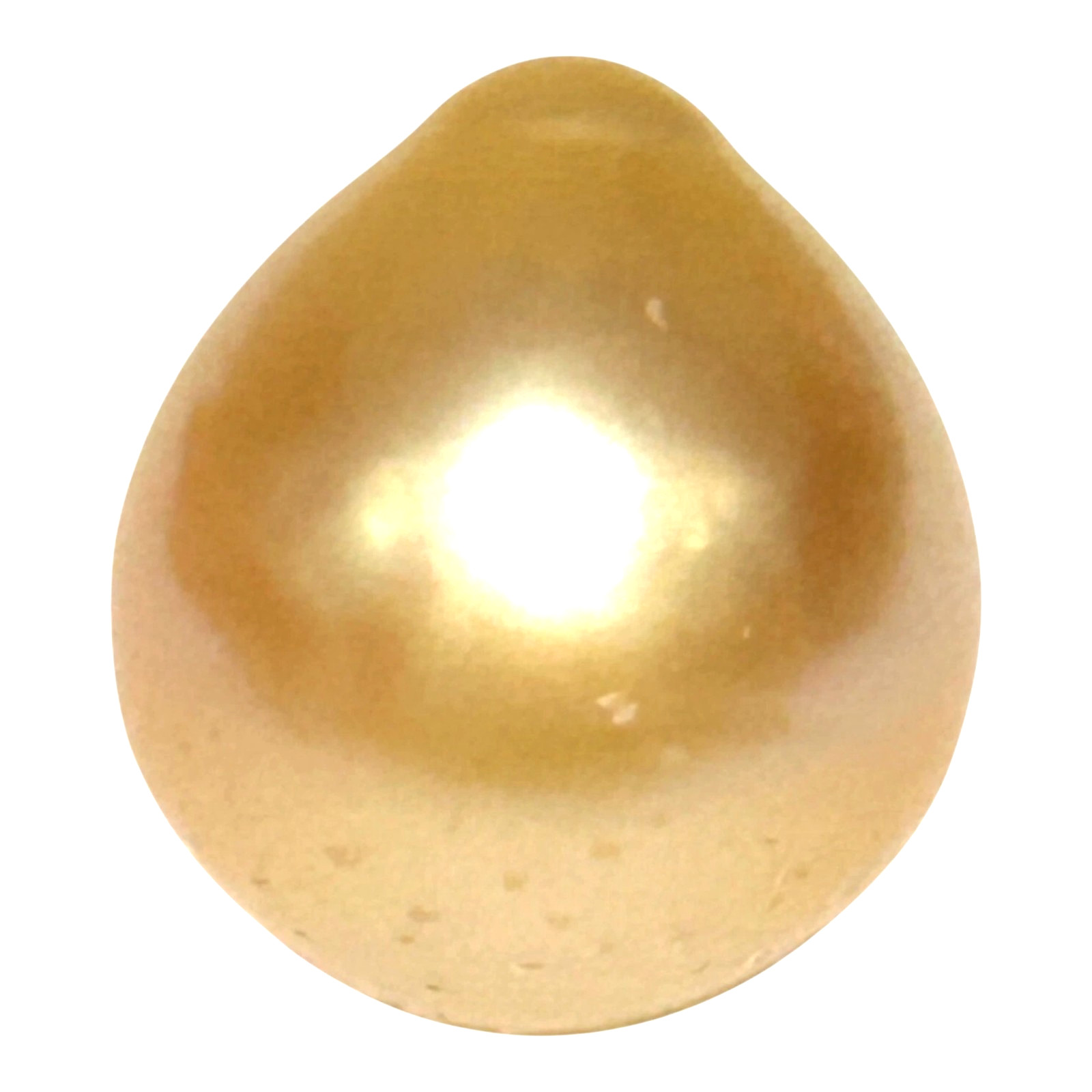 Smooth 13.8 x 15.4mm 19.5 Carat Natural Rich Golden Philippines South Sea Pearl